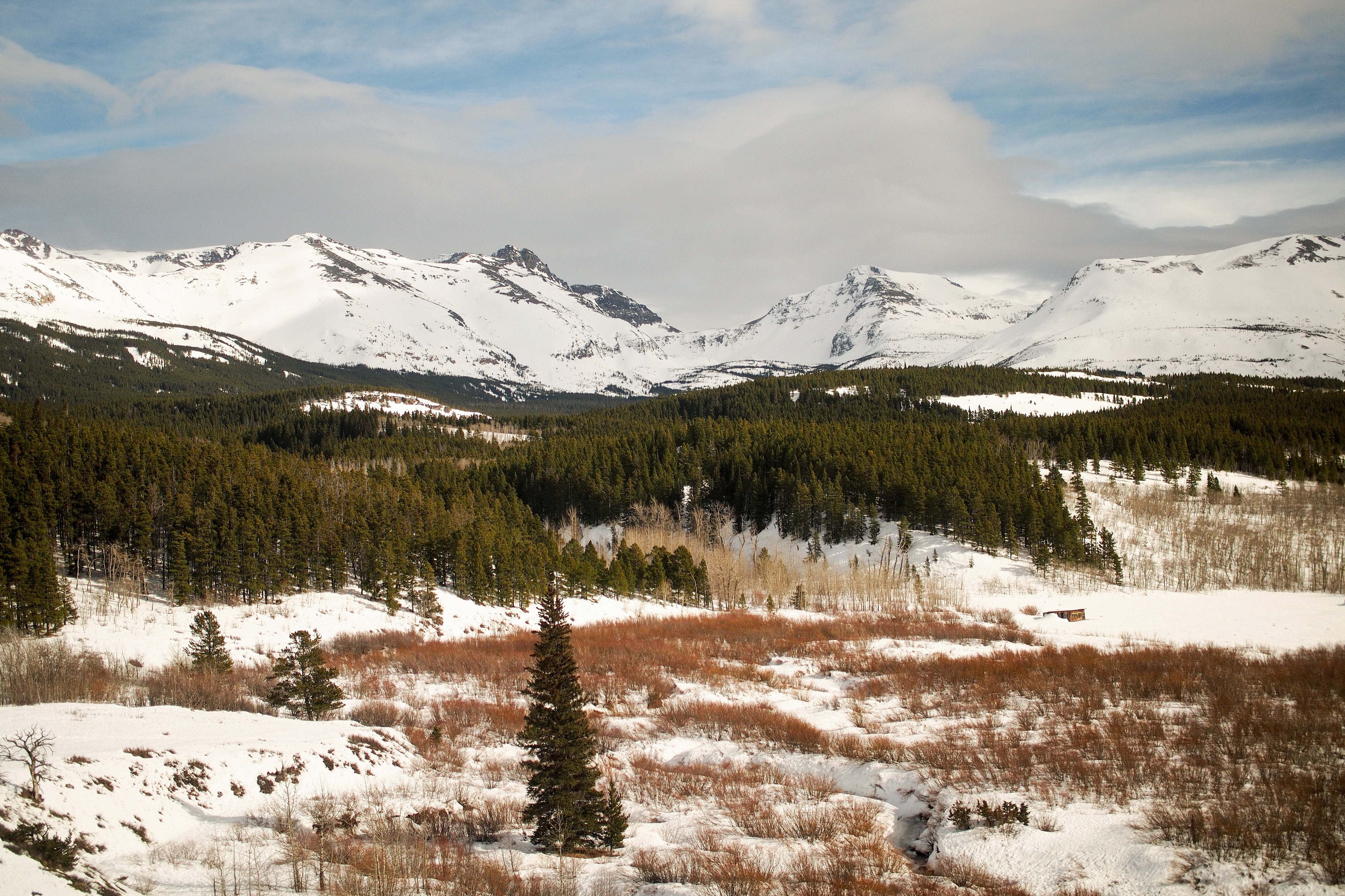 glacier national park photo of snowcapped mountains nearby pine trees